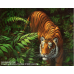 Tiger In Ferns Frame - - Paint By Number Framed  Canvas Kit  