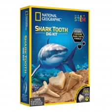 National Geographic Shark Tooth