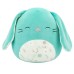 Squishmallow Misfit Assortment Squishmallow Misfit Assortment