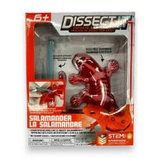 Dissect It - Salamander